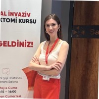 Cansu E. Gülsen