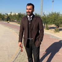 jamal hamdan