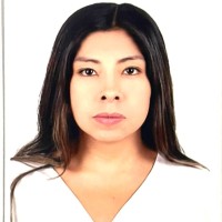 Karol Vivian Vilca Garate