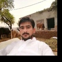 Amir Pak