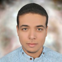 Mohamed A.Alkareem