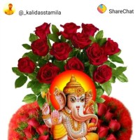 Ajay Dholkiya