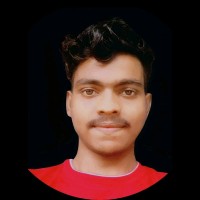 Rajeev Ray