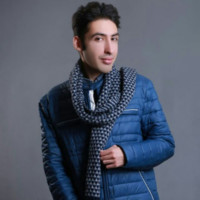 mehran aminzadeh