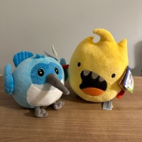 Flutter Developer