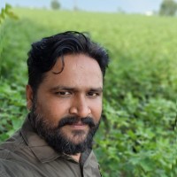 Kaushal Pansuriya