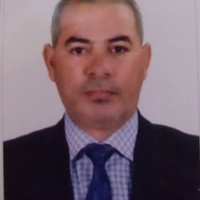 Mohamed Al-Gamal