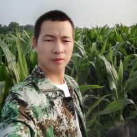 王结实