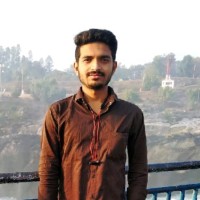 Ankit Vitale