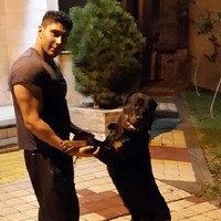 Mohammad Saeidi