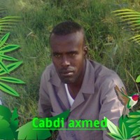 cabdi axmed