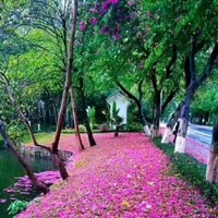汪丽娜