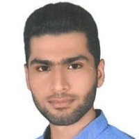 Ramin Farzi