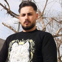 ali msv