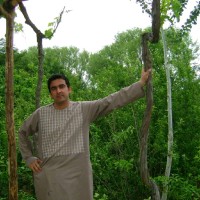 Najeebullah Payman