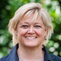 Paula D. Foster, Lcsw