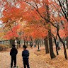 Yeochan Yoon