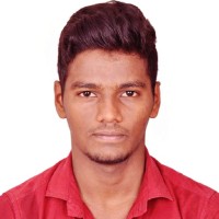 Vignesh M