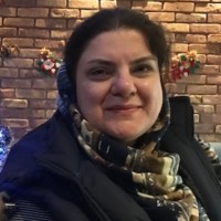 Haleh Hamidzadeh Nasseri