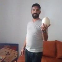 Omari Kamal