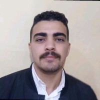 Ahmed Hossam elden