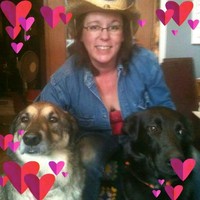 Beth Reed