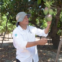 OSCAR PURIHUAMÁN SÁNCHEZ