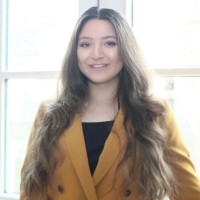 Aysegul Uluer Msc