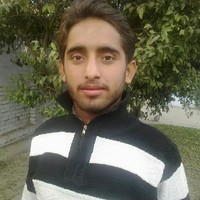 Mesam Tamar