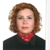 Didem Sena Baybaş