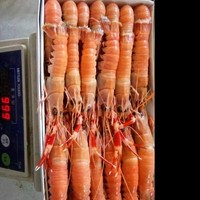 严旺浩
