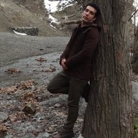 hamzeh choobin