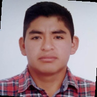 ROLANDO DANIEL RUIZ ARANDA