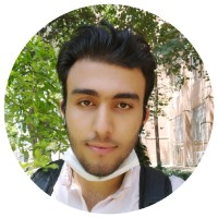 Seyed Ali Kamali