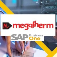Megatherm SAP B1 ERP