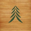 Zindia Forestry