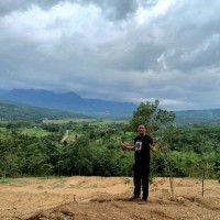 Adhi Pramono