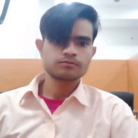 Braj Raj Meena
