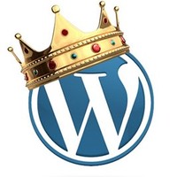 Wordpress Champion