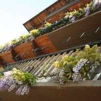 Hotel Daniela