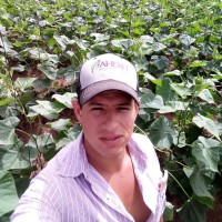 José Alfredo Valenzuela L.