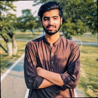 Parus Ali