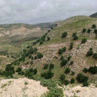 Musa موسي الكعبي