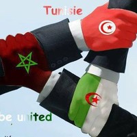 Tayeb Safa