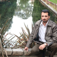 Nael Adib