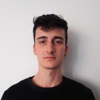 davide bartolozzi