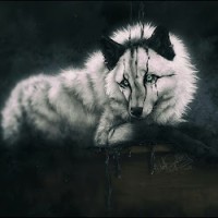 She Wolf