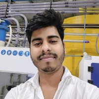 Dibyendu Goswami