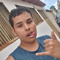 Daniel Linhares Os Dinossauros Atacando Uma