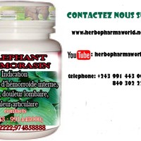 Herbo Pharma World